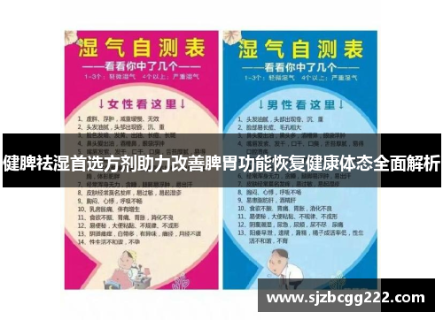 健脾祛湿首选方剂助力改善脾胃功能恢复健康体态全面解析