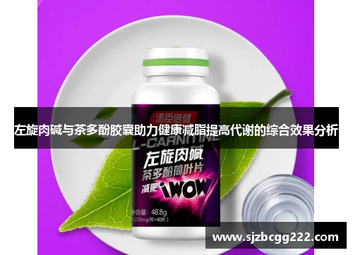 左旋肉碱与茶多酚胶囊助力健康减脂提高代谢的综合效果分析